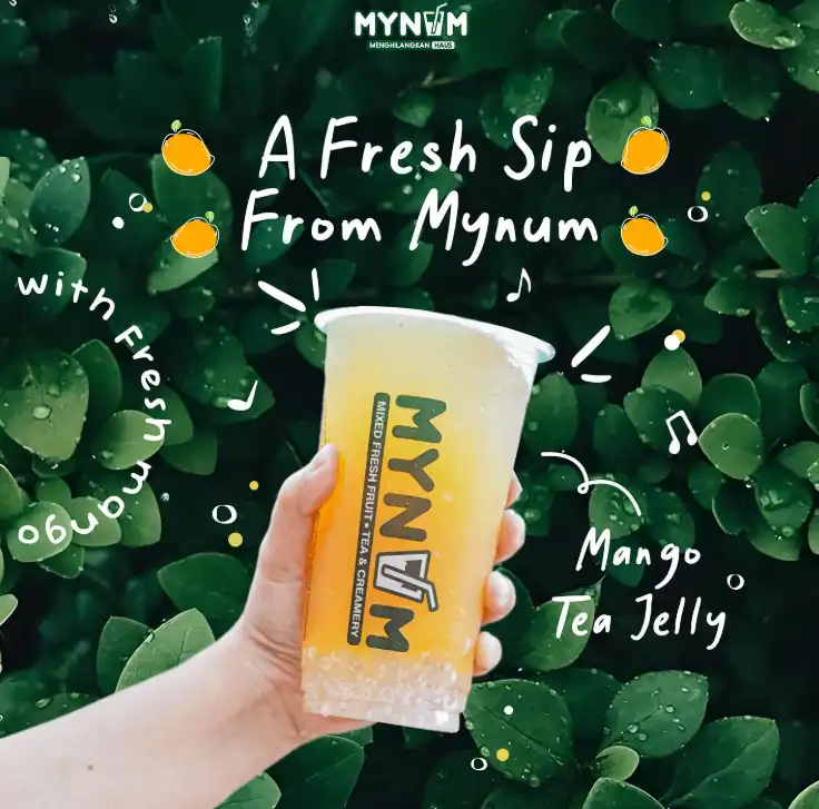 mynum-franchise